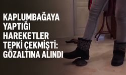 Kaplumbağaya yaptığı hareketler tepki çekmişti: Gözaltına alındı