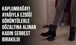 Kaplumbağayı ayağıyla ezdiği görüntülerle gözaltına alınan kadın serbest bırakıldı