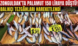 Zonguldak’ta palamut 150 liraya düştü! Balıkçı tezgâhları hareketlendi