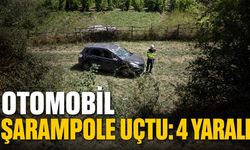 Otomobil şarampole uçtu: 4 yaralı