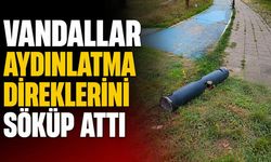 Vandallar aydınlatma direklerini söküp attı