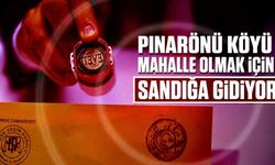 Pınarönü Köyü mahalle olmak için  sandığa gidiyor