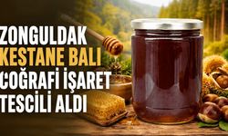Zonguldak kestane balı coğrafi işaret tescili aldı