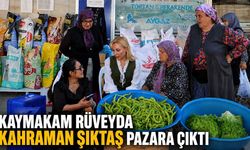 Kaymakam Ruveyda Kahraman Şıktaş pazara çıktı
