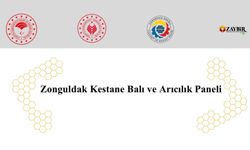 Arıcılar Ereğli'de buluşuyor