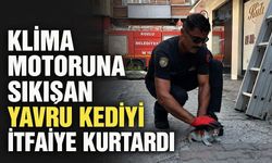 Klima motoruna sıkışan yavru kediyi itfaiye kurtardı