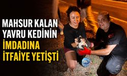 Mahsur kalan yavru kedinin imdadına itfaiye yetişti