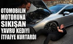 Otomobilin motoruna sıkışan yavru kediyi itfaiye kurtardı