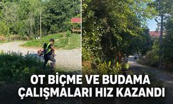 Ot biçme ve budama çalışmaları hız kazandı