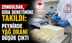 Zonguldak, gıda denetimine takıldı: Peynirde yağ oranı düşük çıktı