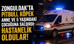 Zonguldak’ta pitbull köpek anne ve 5 yaşındaki çocuğuna saldırdı: Hastanelik oldular!