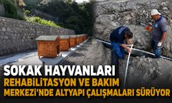 Sokak Hayvanları Rehabilitasyon ve Bakım Merkezi’nde altyapı çalışmaları sürüyor