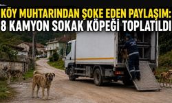 Köy muhtarından şoke eden paylaşım: 8 kamyon sokak köpeği toplatıldı