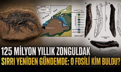 125 milyon yıllık Zonguldak sırrı yeniden gündemde: O fosili kim buldu?