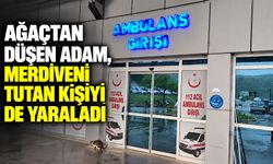 Ağaçtan düşen adam, merdiveni tutan kişiyi de yaraladı