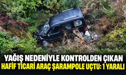 Yağış nedeniyle kontrolden çıkan hafif ticari araç şarampole uçtu: 1 yaralı