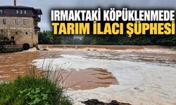 Irmaktaki köpüklenmede tarım ilacı şüphesi