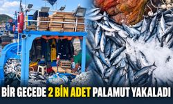 Bir gecede 2 bin adet palamut yakaladı