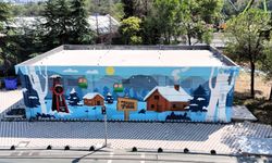 İlin değerleri duvarlara renk katıyor