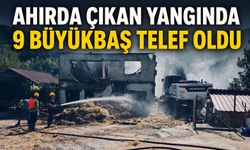 Ahırda çıkan yangında 9 büyükbaş telef oldu