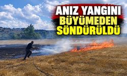 Anız yangını büyümeden söndürüldü