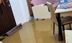 Aşırı yağışlar etkili oldu