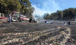 Bahçede başlayan yangın ormanlık alana sıçradı