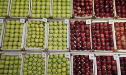 En lezzetli elma ve armutlar vitrine çıktı