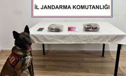Yolcu otobüsünde 810 gram yasaklı madde ele geçirildi; 1 tutuklama