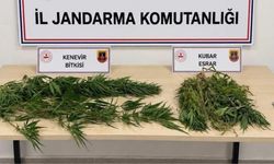 Uy*şturucu ve kaçakçılık operasyonu: 3 kişi gözaltına alındı