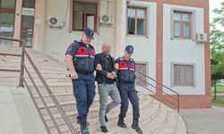 Evinde metamfetamin bulundu, savunması 'limon tuzu' oldu