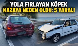 Yola fırlayan köpek kazaya neden oldu: 5 yaralı