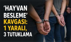 'Hayvan besleme' kavgası: 1 yaralı, 3 tutuklama