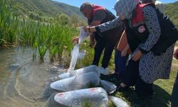 Göletlere 105 bin yavru balık bırakıldı