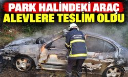 Park halindeki araç alevlere teslim oldu