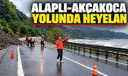 Alaplı-Akçakoca yolunda heyelan