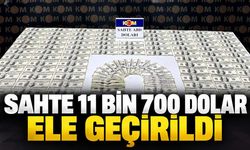 Sahte 11 bin 700 dolar ele geçirildi