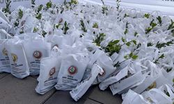 COP31 kapsamında iklim farkındalığı etkinliği