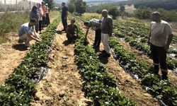 Kadın ve gençlerle üretim büyüyor