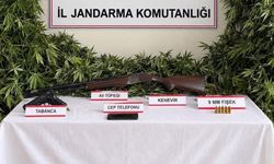 Jandarmadan 3 ilçede uy*şturucu operasyonu: 3 tutuklama