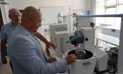 Ormanlarda yetişen mantarlar ciltleri güneşten koruyacak