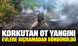 Korkutan ot yangını evlere sıçramadan söndürüldü