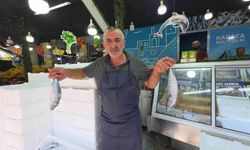 Palamut tezgaha indi, vatandaş sıraya girdi