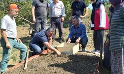 Salep dikimi gerçekleştirildi