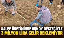 Salep üretiminde ORKÖY desteğiyle 3 milyon lira gelir bekleniyor