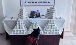 Binlerce sentetik ecza hapı ve uy*şturucuyla yakalanan sanığın yargılanmasına devam edildi
