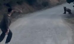 Karşılarına çıkan ayıyı taşla kovaladılar
