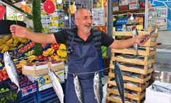 Taze balıkları göstermek için hem palamutları oynattı hem kendisi horon oynadı