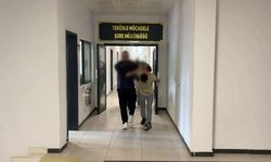 Te*rör örgütü El Kaide operasyonu: 5 tutuklama