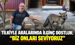 Tilkiyle aralarında ilginç dostluk: “Biz onları seviyoruz”